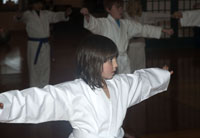 Karate kid